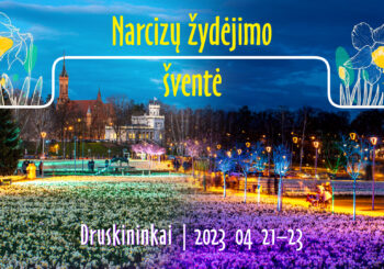 Artėja Narcizų žydėjimo šventė „Narcizų simfonija“