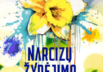 Stebuklinga narcizų žydėjimo šventė Druskininkuose